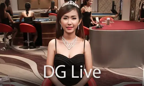 ph365 Bingo Mobile App Gaming